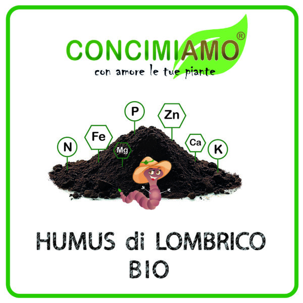 HUMUS DI LOMBRICO Bio 100% PURO in POLVERE - il Superfood del Suolo | Rende il terreno vivo, nutre le radici, fa esplodere le tue piante - immagine 6